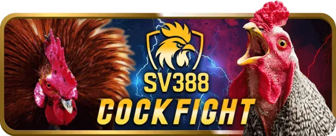 Quản lý vốn cược dola88 win